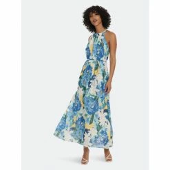 Maggy London Tera Floral Maxi Dresses Soft White/denim Blue